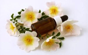 essential oils picture