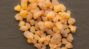 dried resin of the boswellia tree processed to make frankincense